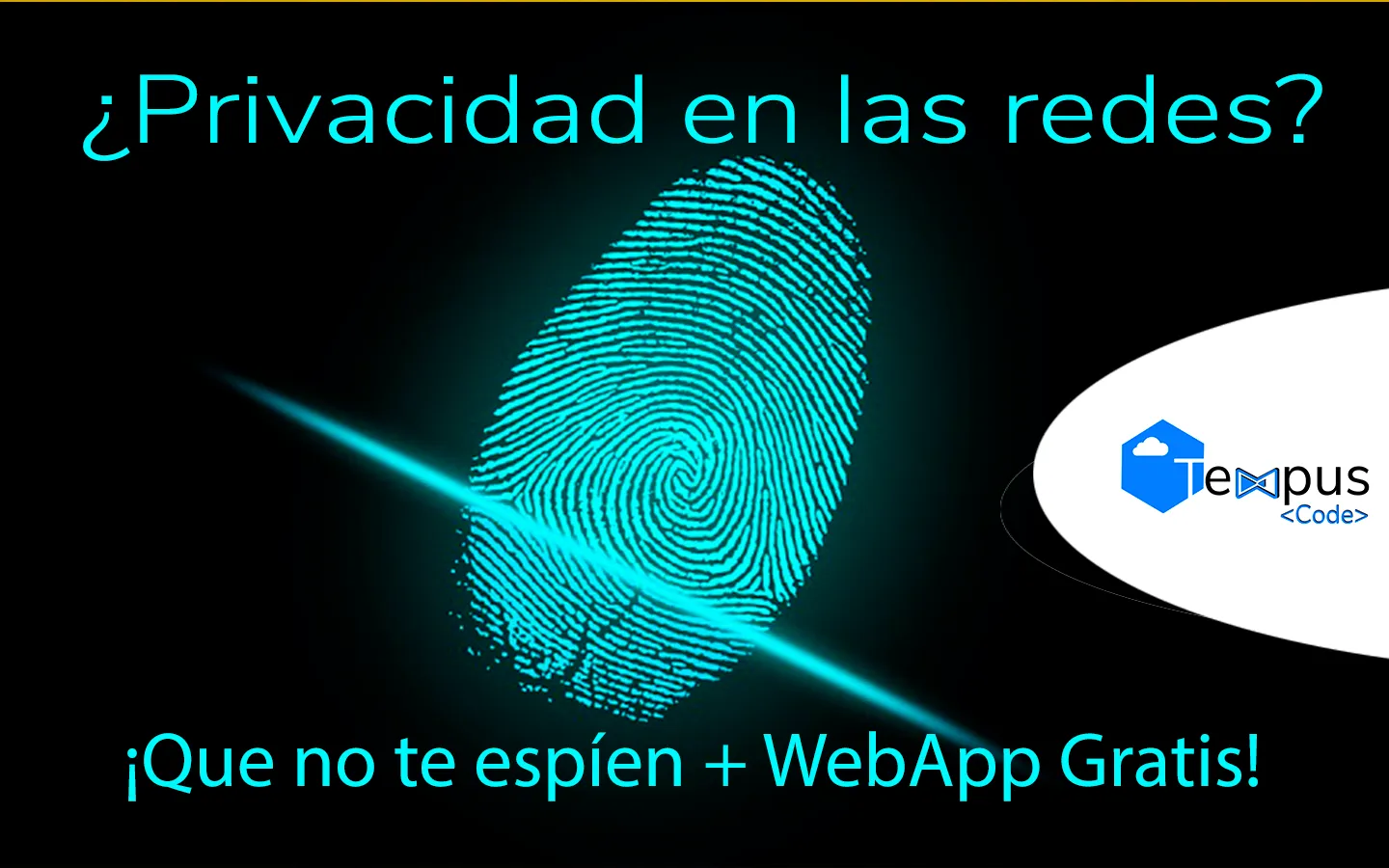 Privacidad digital, o como mantenerse seguro en la red.